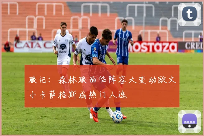 狼记：森林狼面临阵容大变动欧文小卡萨格斯成热门人选